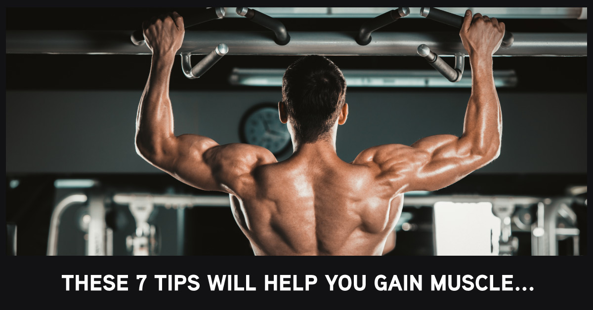 Aggressive Bulking: How to Build Muscle FAST