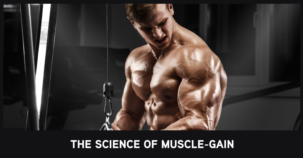 How Quickly Can You Gain Muscle Naturally 